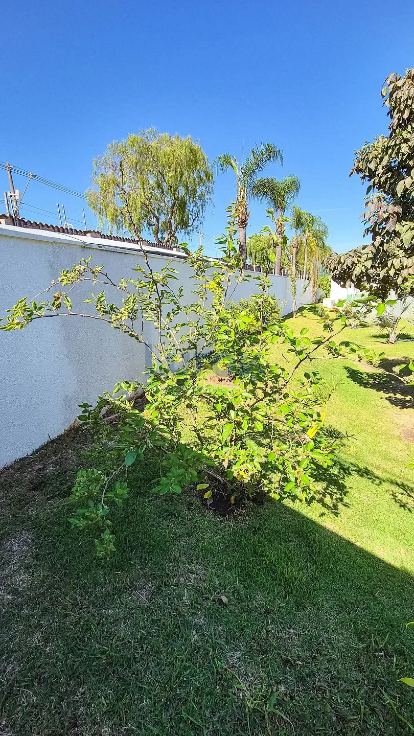 Casa, 3 quartos, 410 m² - Foto 36