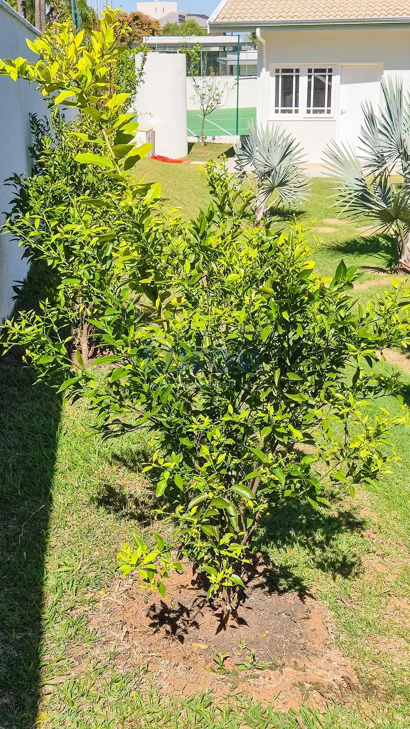 Casa, 3 quartos, 410 m² - Foto 37