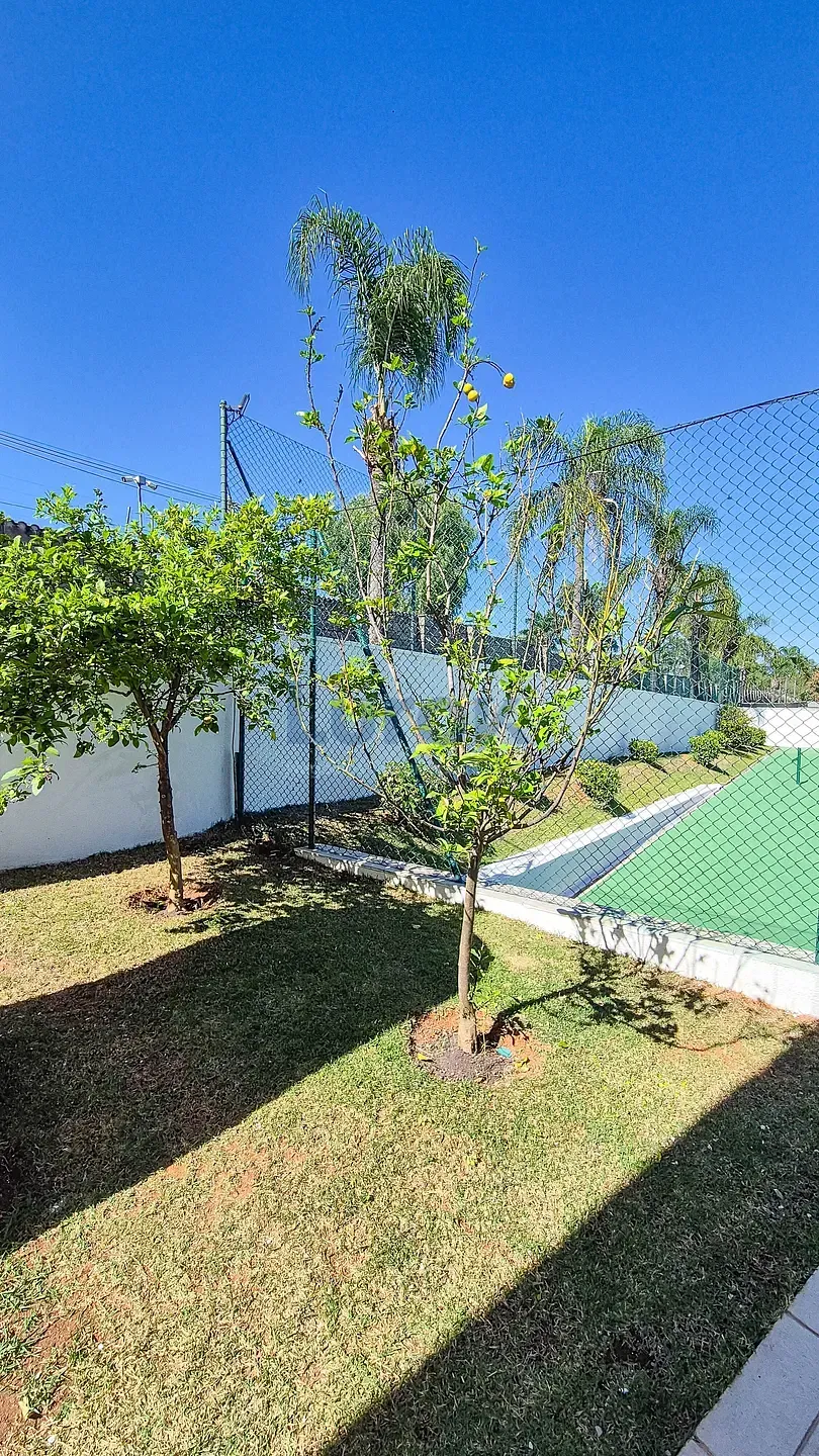 Casa, 3 quartos, 410 m² - Foto 38