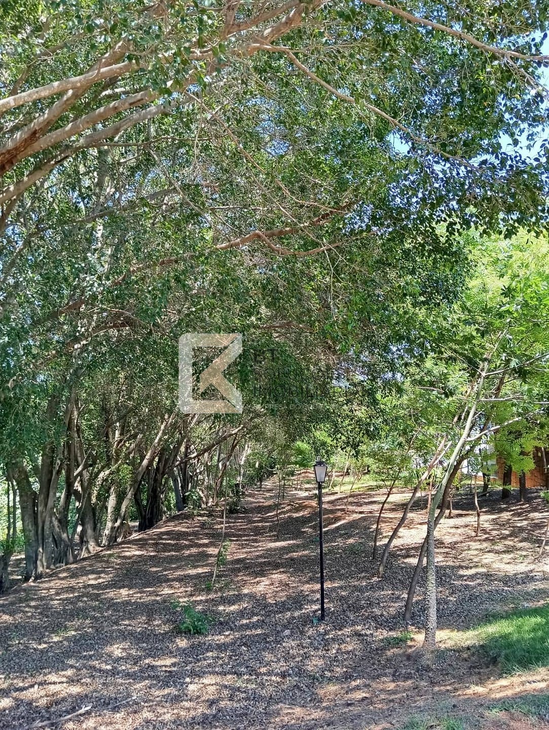 Casa, 3 quartos, 580 m² - Foto 32