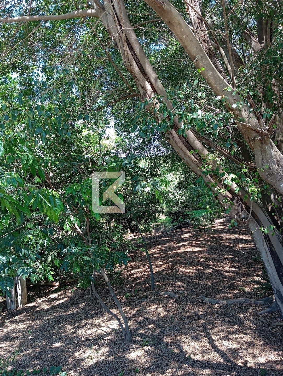 Casa, 3 quartos, 580 m² - Foto 35