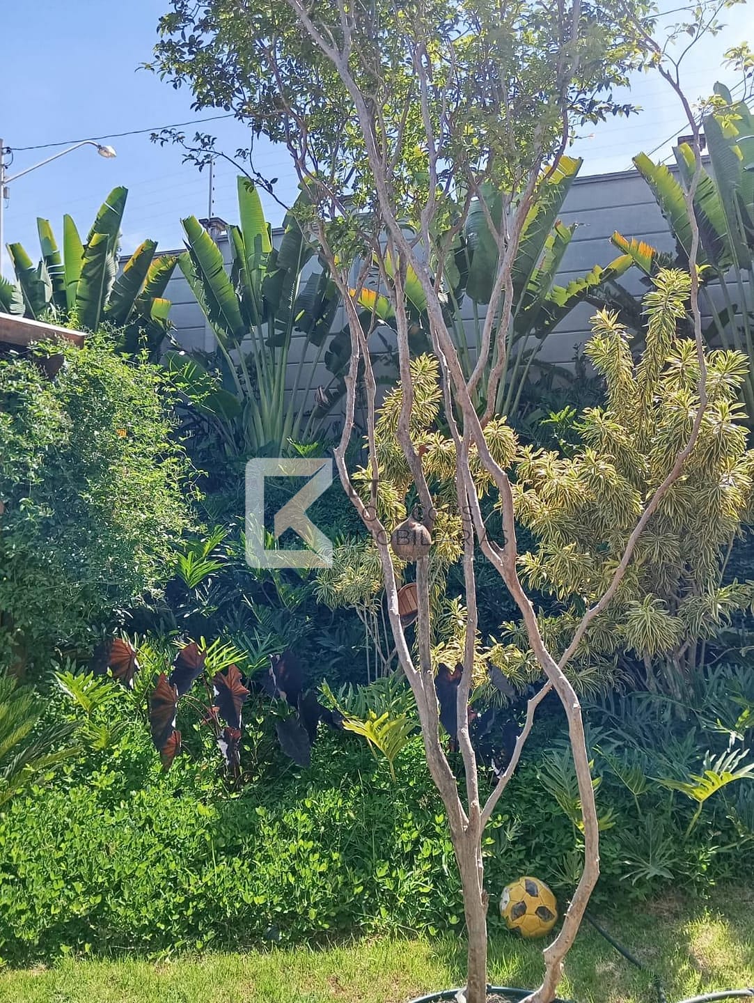 Casa, 3 quartos, 580 m² - Foto 50