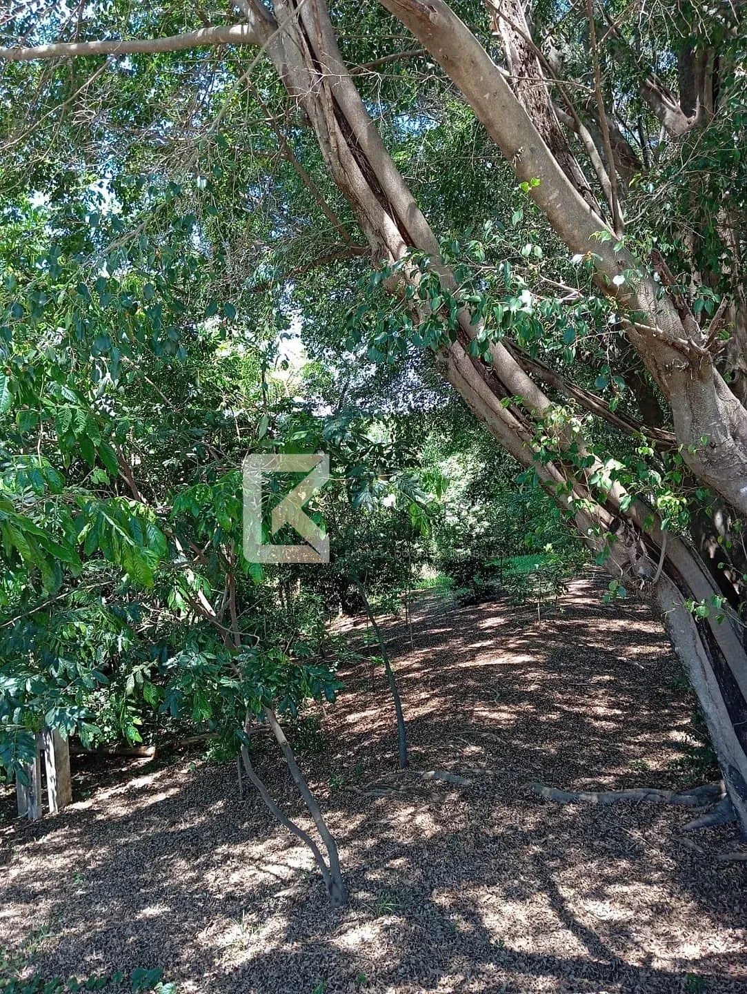 Casa, 3 quartos, 580 m² - Foto 35