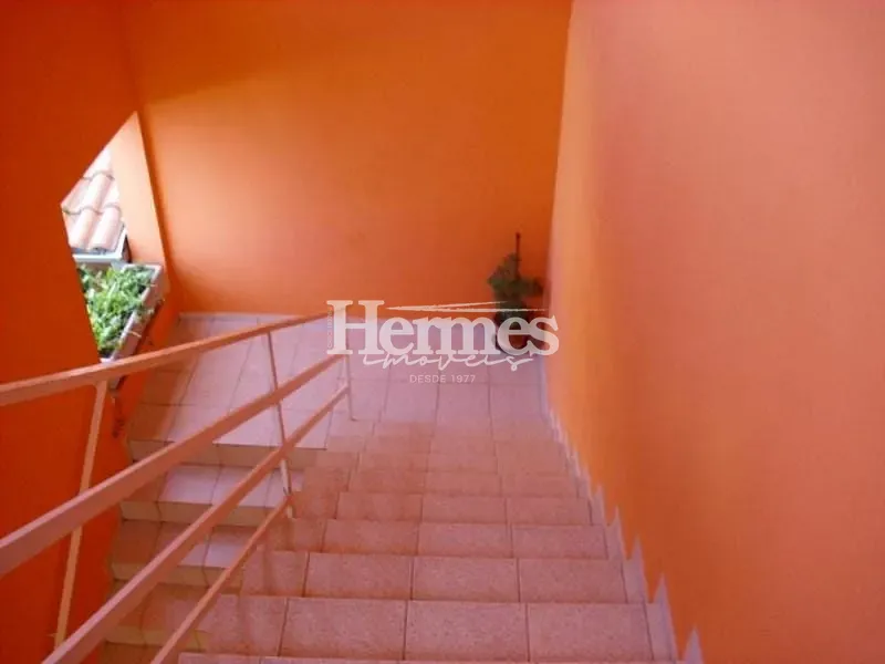 Casa, 3 quartos, 379 m² - Foto 9
