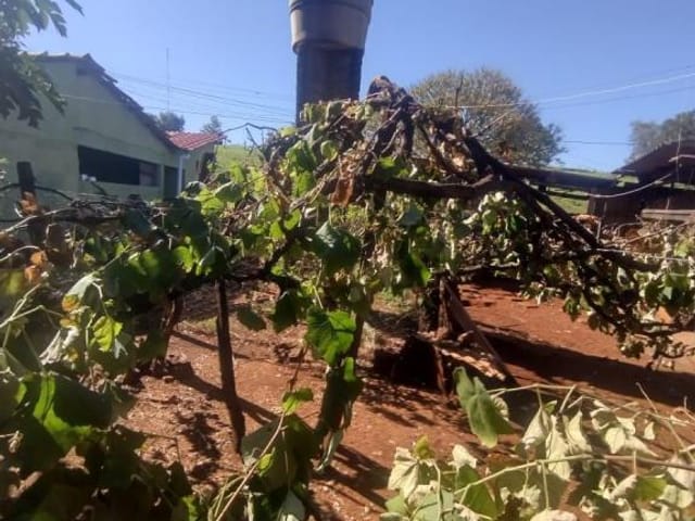 Foto do Casa - SÍTÍO A VENDA 04 DORMITÓRIOS, MORRINHOS/GO | Provenda Imobiliária