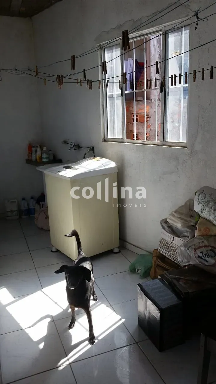 Casa, 5 quartos, 100 m² - Foto 3
