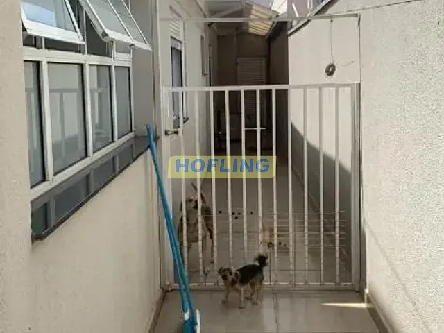 Casa com 270m² 3 quartos e 4 banheiros, à venda, no bairro Granja Regina em Rio Claro