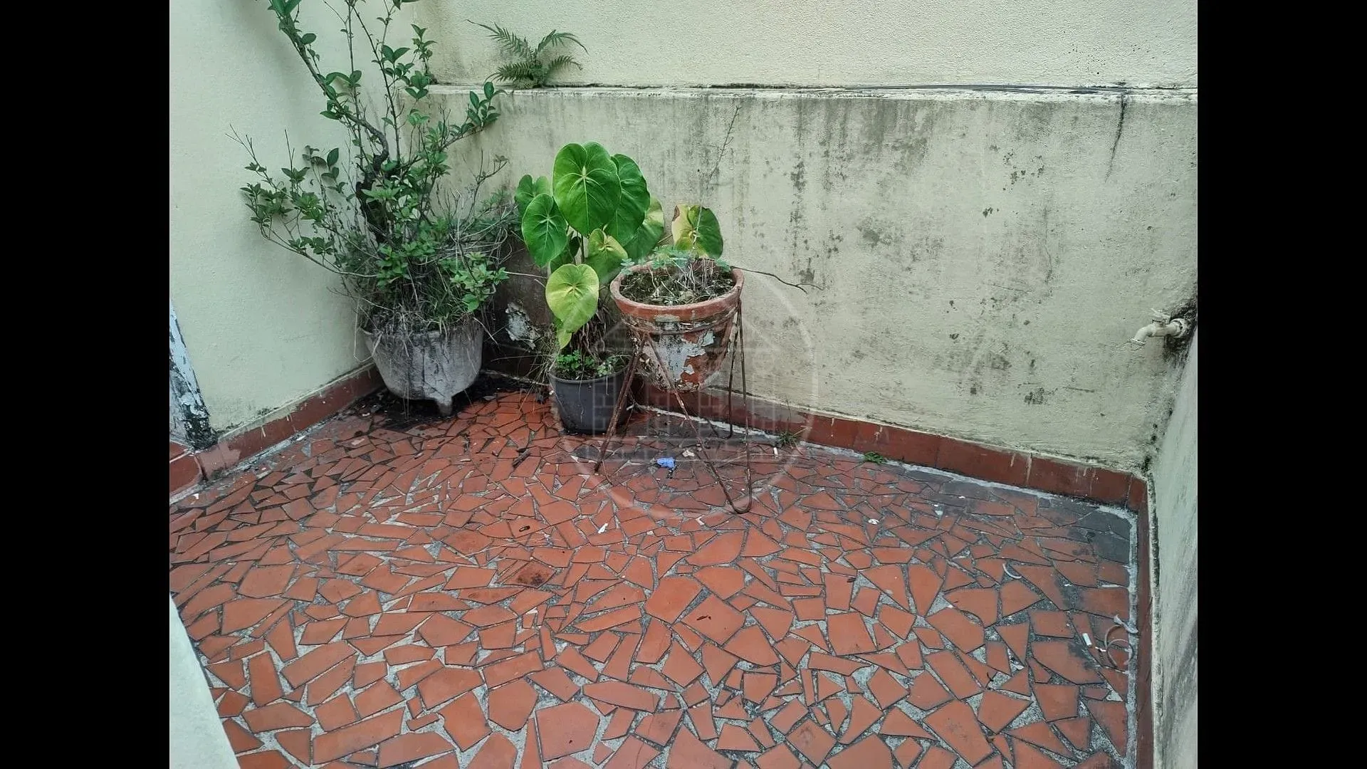 Casa, 2 quartos, 150 m² - Foto 6