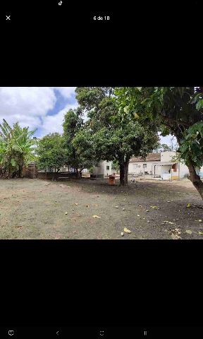 Casa com 4000m² 4 quartos e 2 banheiros, à venda, no bairro Parque Jardim Carioca em Campos dos Goytacazes