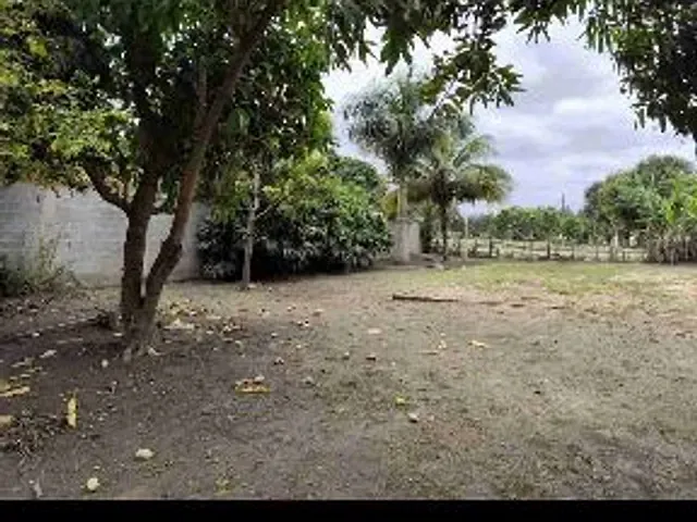 Casa com 4000m² 4 quartos e 2 banheiros, à venda, no bairro Parque Jardim Carioca em Campos dos Goytacazes