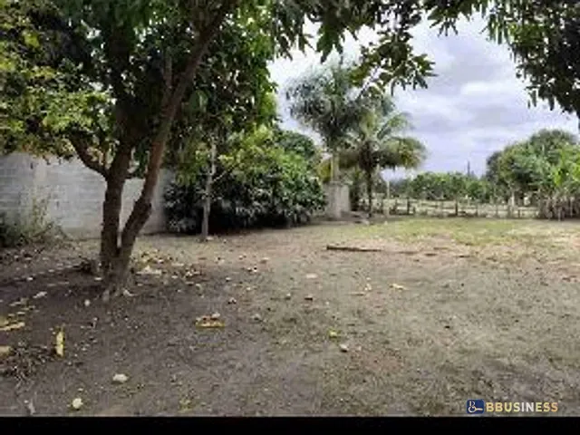 Casa com 4000m² 4 quartos e 2 banheiros, à venda, no bairro Parque Jardim Carioca em Campos dos Goytacazes