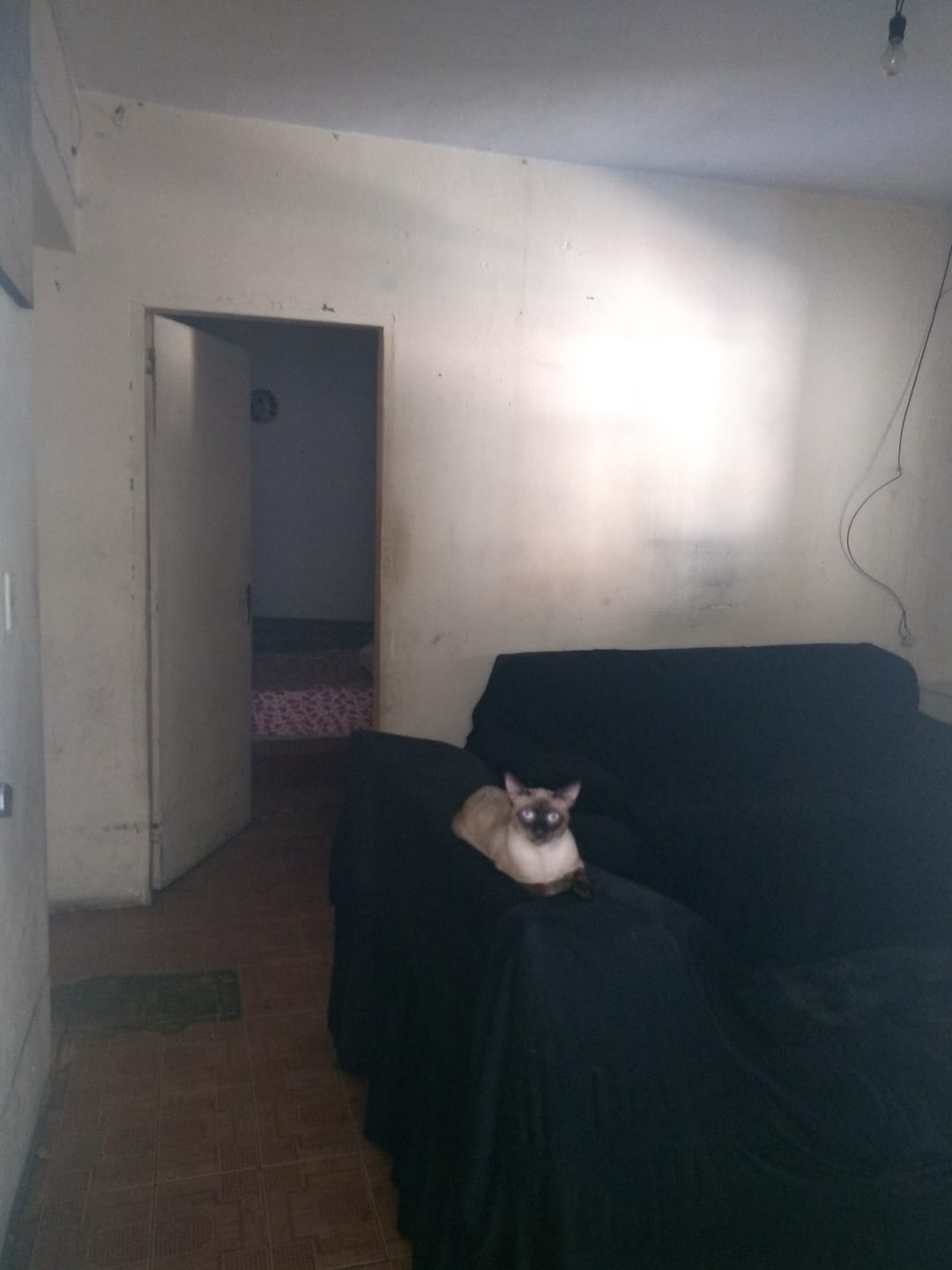 Casa, 3 quartos, 150 m² - Foto 3