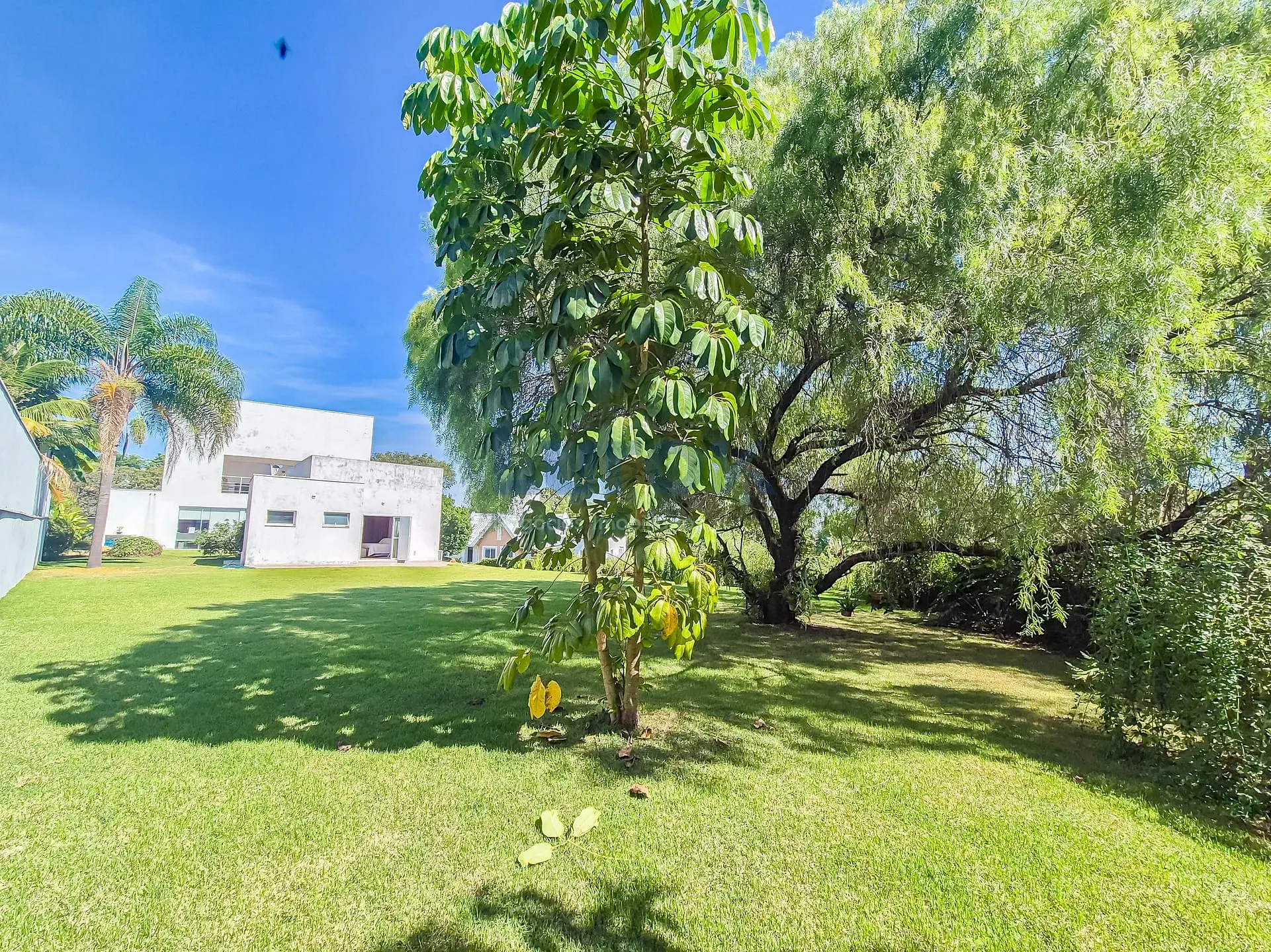 Casa, 3 quartos, 405 m² - Foto 31