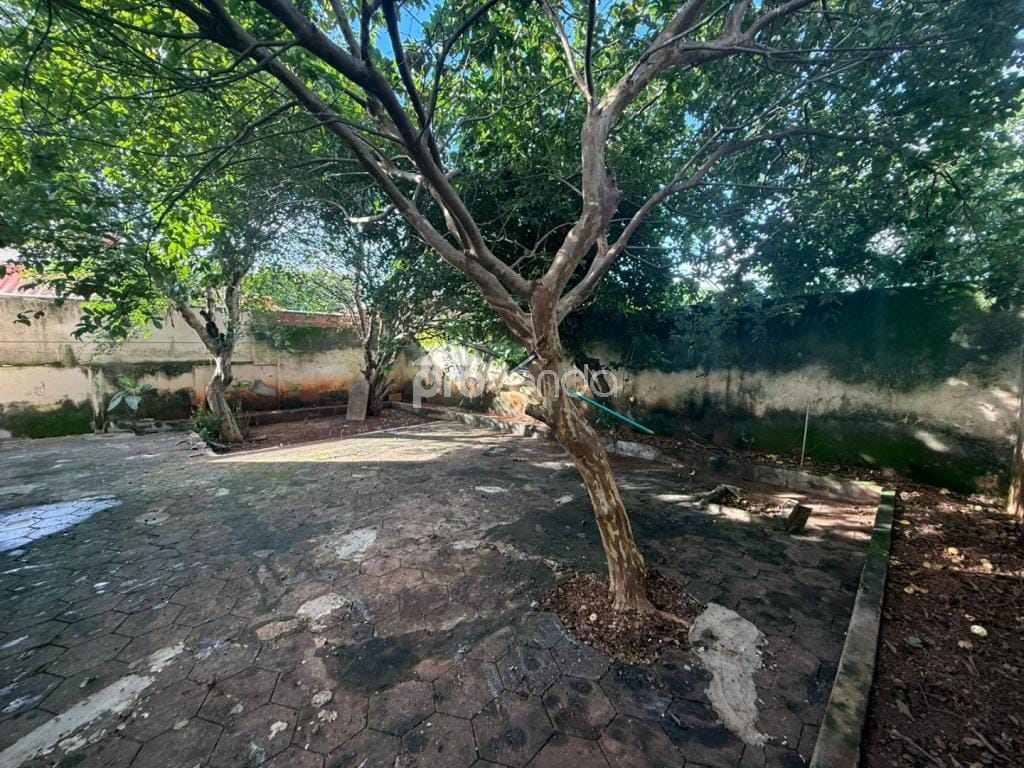 Casa, 3 quartos, 180 m² - Foto 10