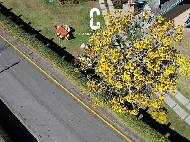 Casa com 1191m² 7 quartos e 6 banheiros, à venda, no bairro Vila Capivari em Campos do Jordão