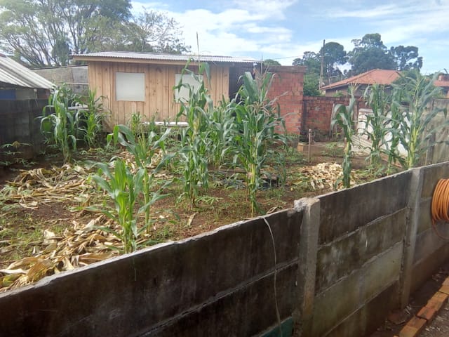 Casa com 462m² 2 quartos e 1 banheiro, à venda, no bairro Uvaranas em Ponta Grossa