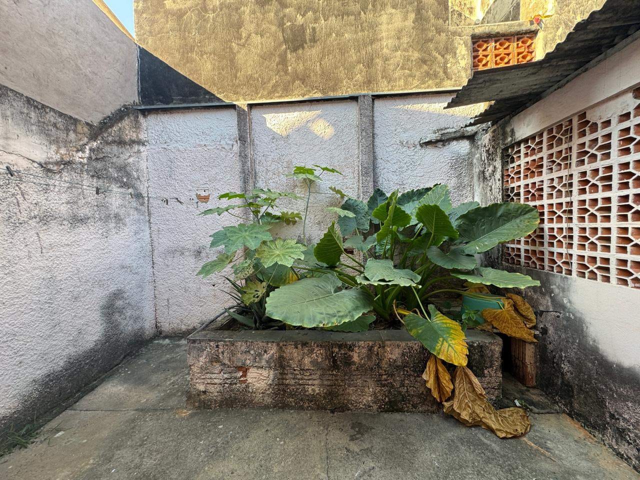 Casa, 2 quartos, 153 m² - Foto 31