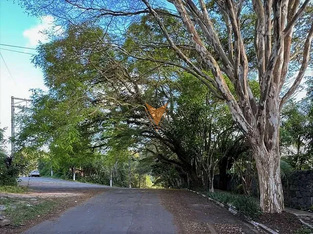 Casa com 2520m² 5 quartos e 6 banheiros, à venda, no bairro Chácaras do Peroba em Jandira