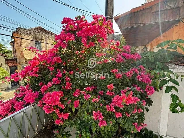 Casa 5 quartos e 4 banheiros, para alugar, no bairro Fátima em Niterói