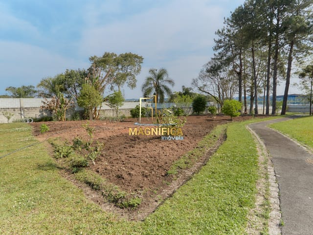 Casa 4 quartos e 6 banheiros, à venda, no bairro Miringuava em São José Dos Pinhais