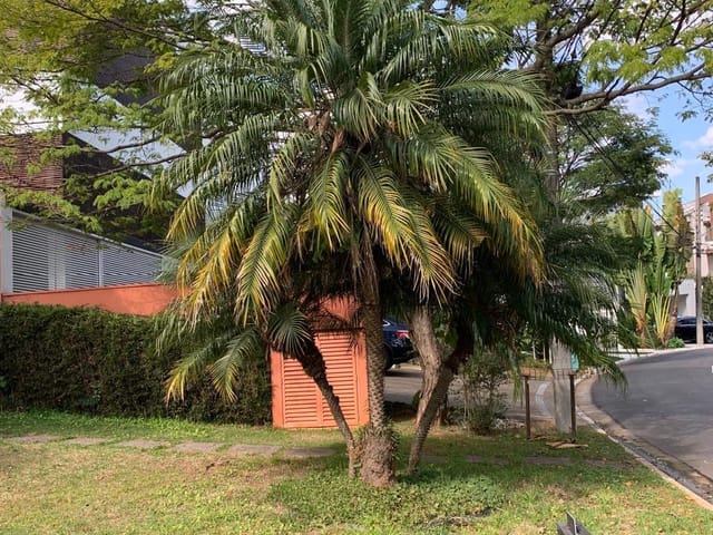 Casa com 590m² 4 quartos e 4 banheiros, à venda, no bairro Alphaville Residencial Zero em Barueri