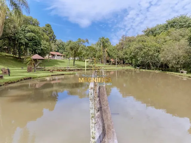 Casa com 45724m² 4 quartos e 5 banheiros, à venda, no bairro Campo do Meio em Campo Largo