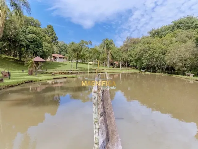 Sítio com 45724m² 4 quartos e 3 banheiros, à venda, no bairro Campo do Meio em Campo Largo