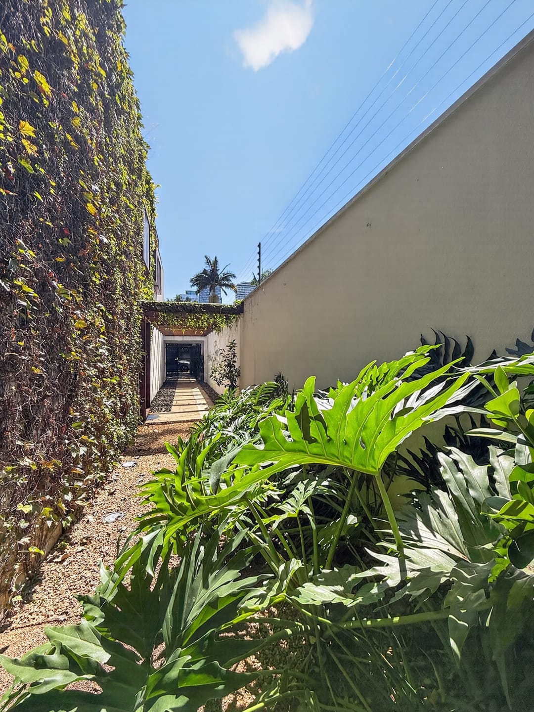 Casa em Jardim Paulistano — foto 4
