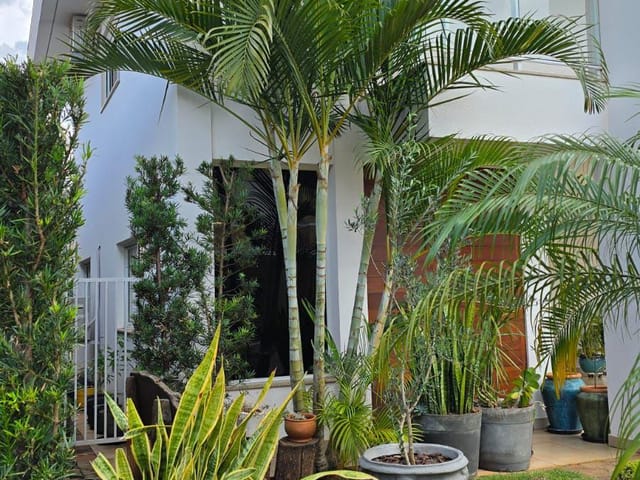 Casa com 374m² 3 quartos e 4 banheiros, para alugar, no bairro Esperança em Londrina