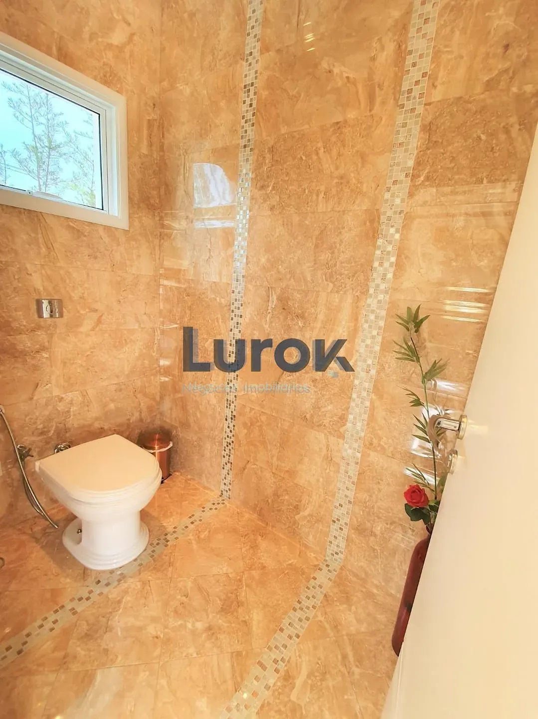 Casa, 3 quartos, 452 m² - Foto 6