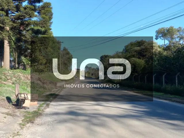 Casa com 3000m² 3 quartos e 2 banheiros, à venda, no bairro Jardim Cecília em Campo Magro