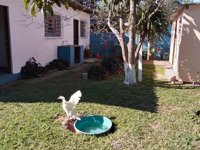 Casa com 425m² 3 quartos e 1 banheiro, à venda, no bairro São João do Rio Vermelho em Florianópolis