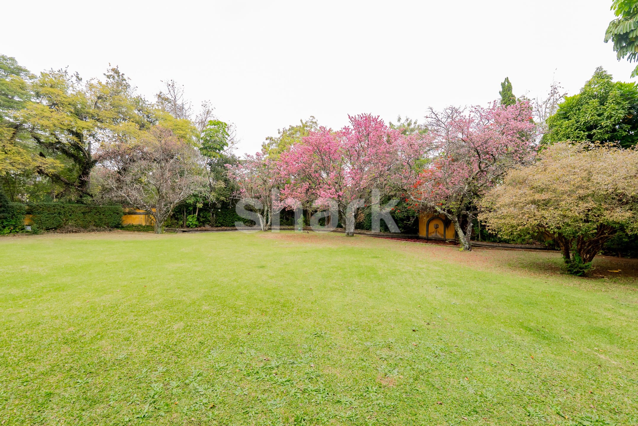 Casa em Jardim América — foto 4