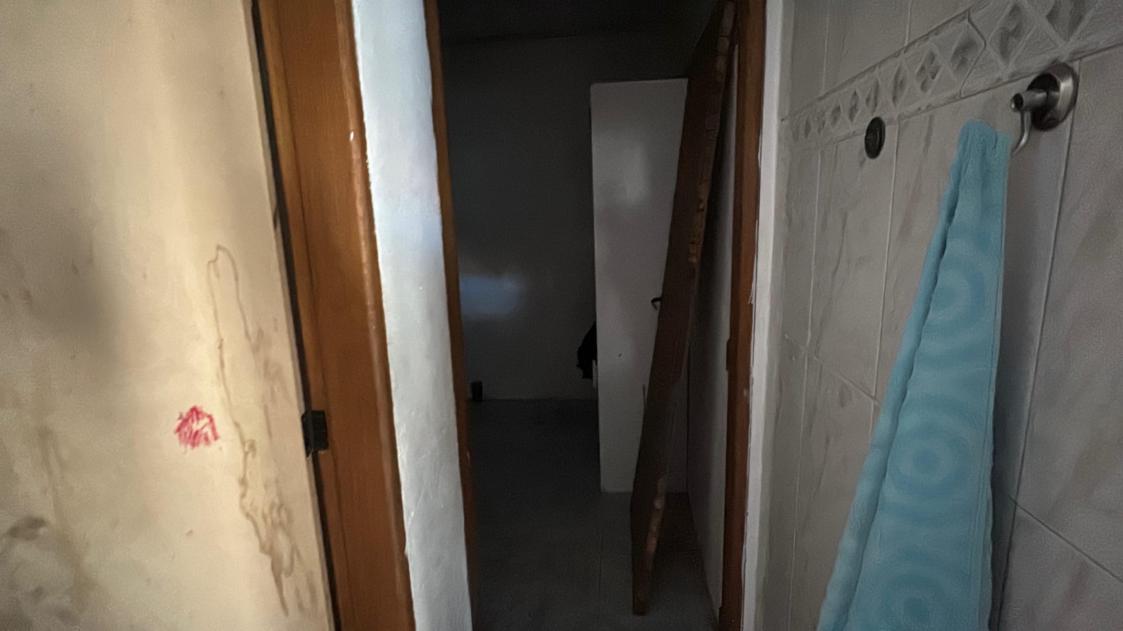 Casa, 3 quartos, 315 m² - Foto 35