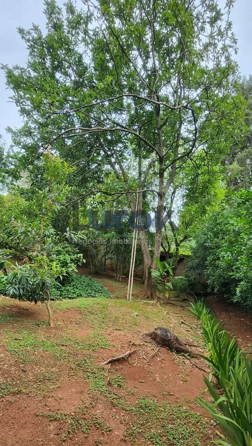 Casa, 3 quartos, 252 m² - Foto 36
