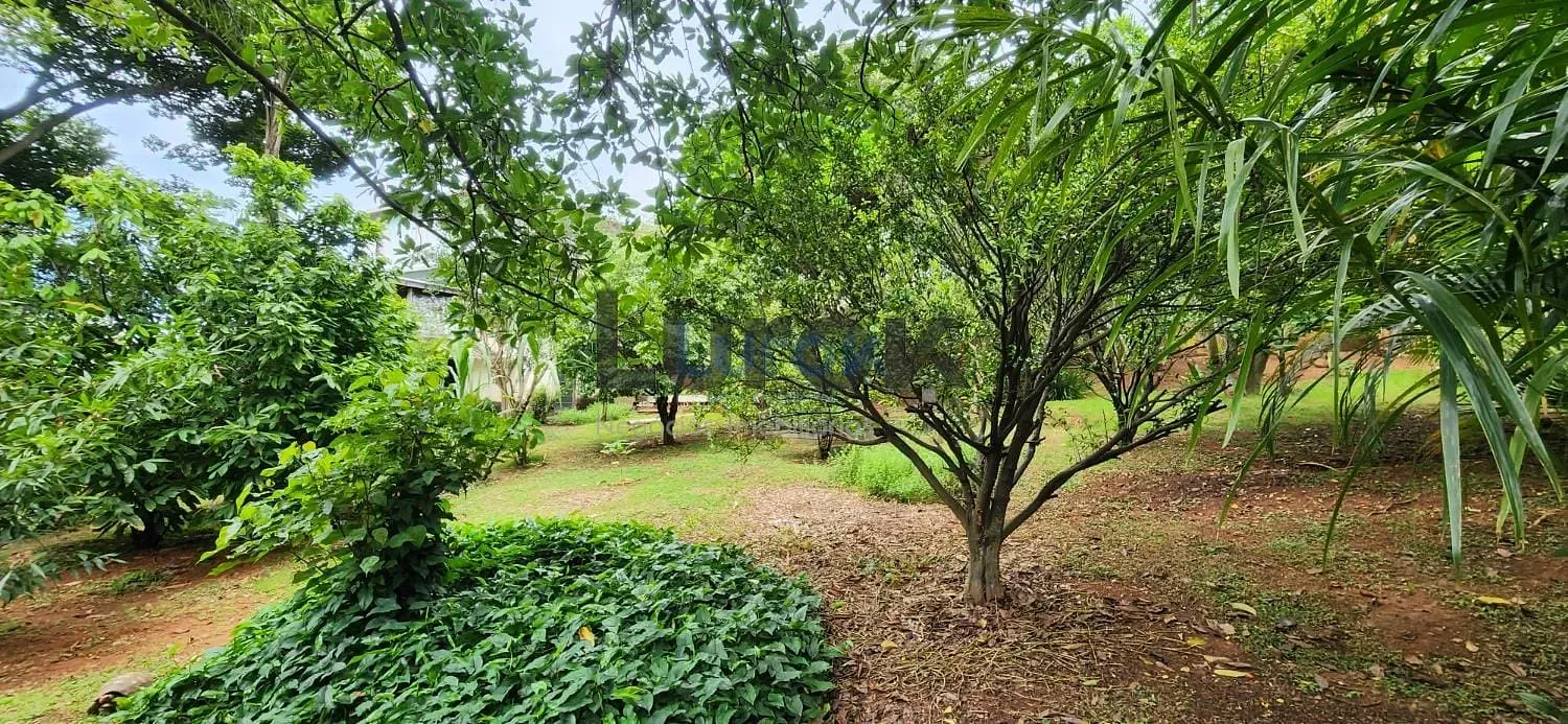 Casa, 3 quartos, 252 m² - Foto 39
