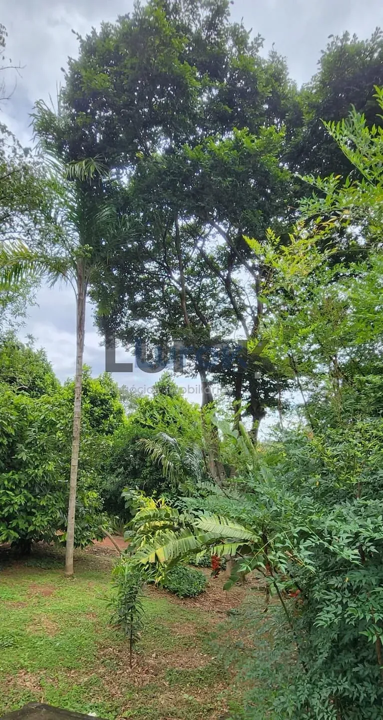 Casa, 3 quartos, 252 m² - Foto 32