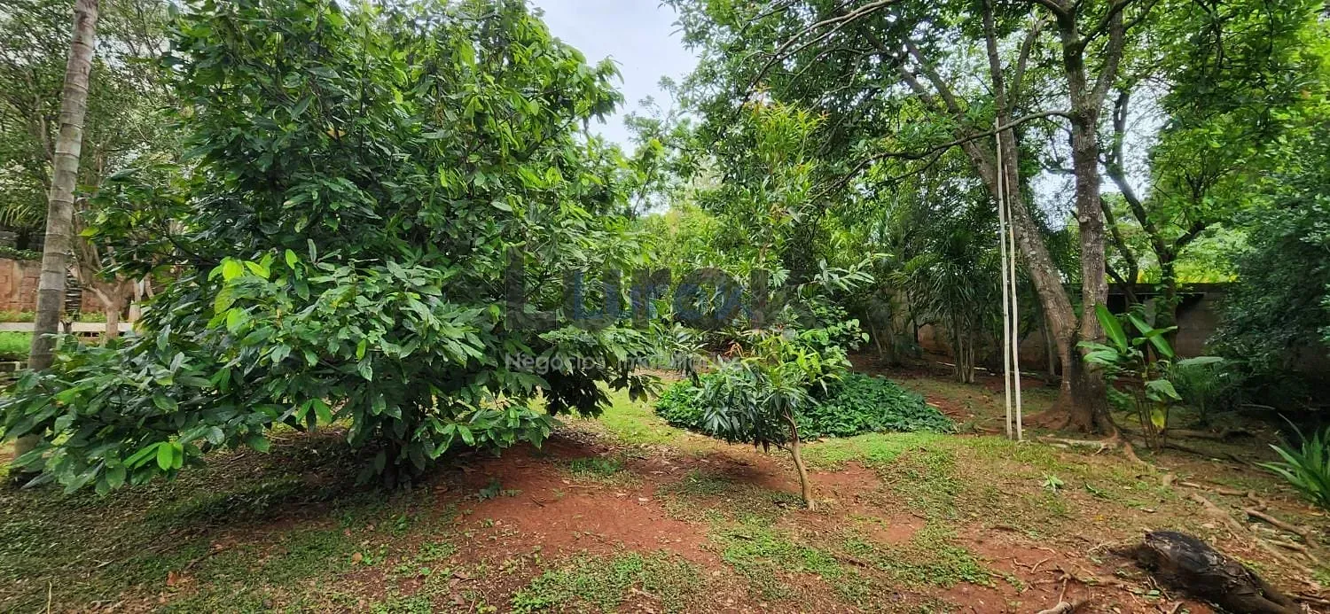 Casa, 3 quartos, 252 m² - Foto 35