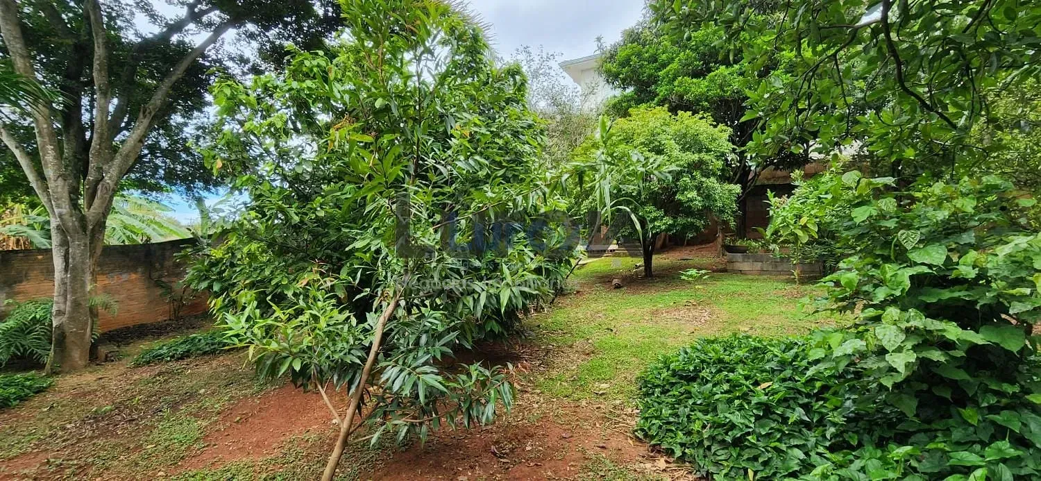 Casa, 3 quartos, 252 m² - Foto 37