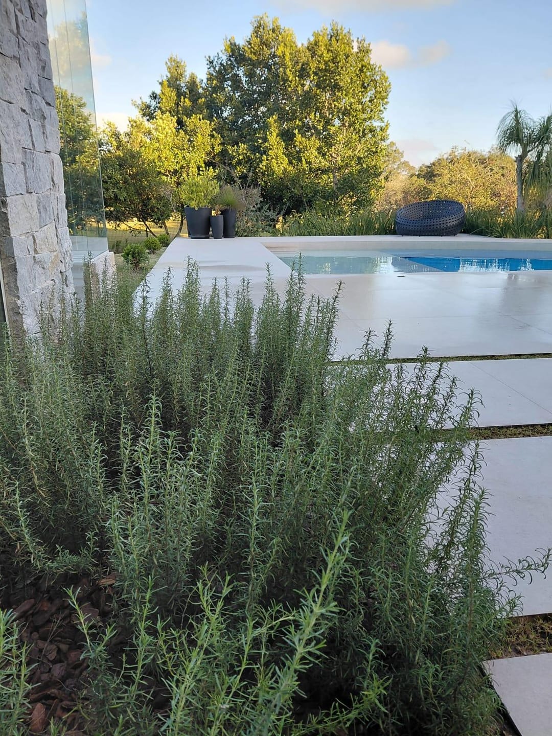 Casa, 3 quartos, 469 m² - Foto 31