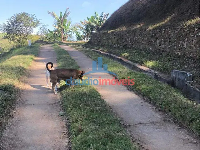 Casa com 4m² 4 quartos e 3 banheiros, à venda, no bairro São Pedro em Barra Mansa