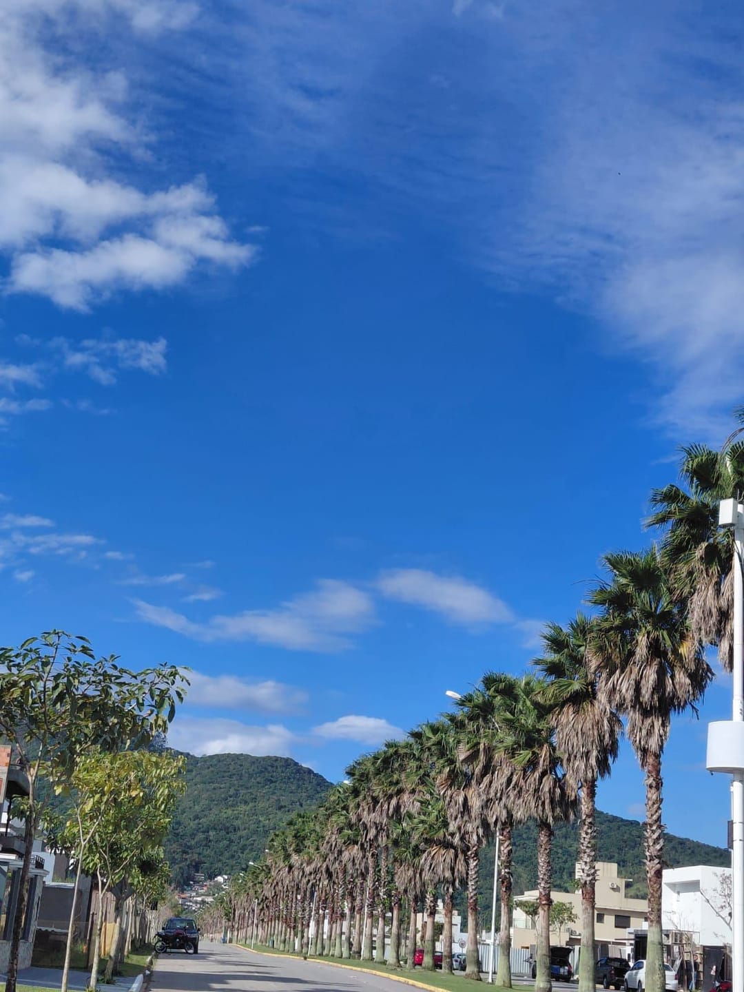 Casa, 4 quartos, 300 m² - Foto 57