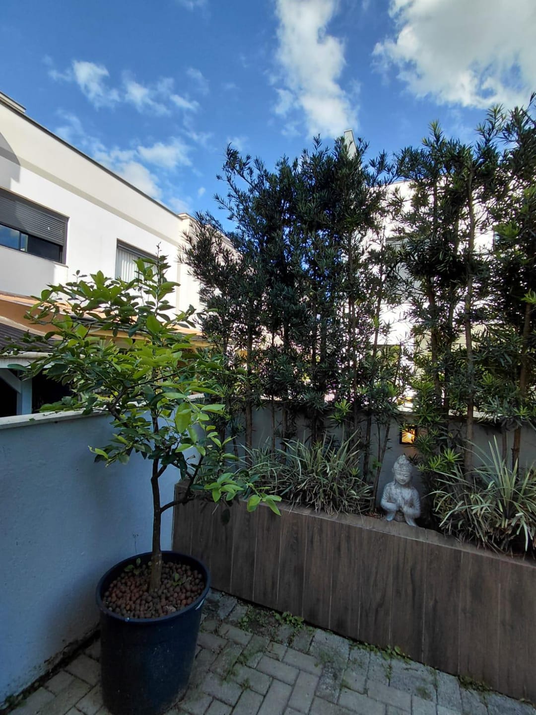 Casa, 4 quartos, 300 m² - Foto 32