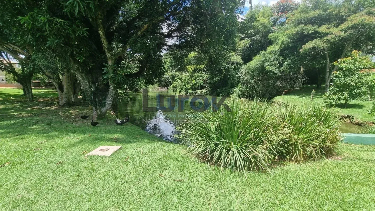 Casa, 3 quartos, 285 m² - Foto 28