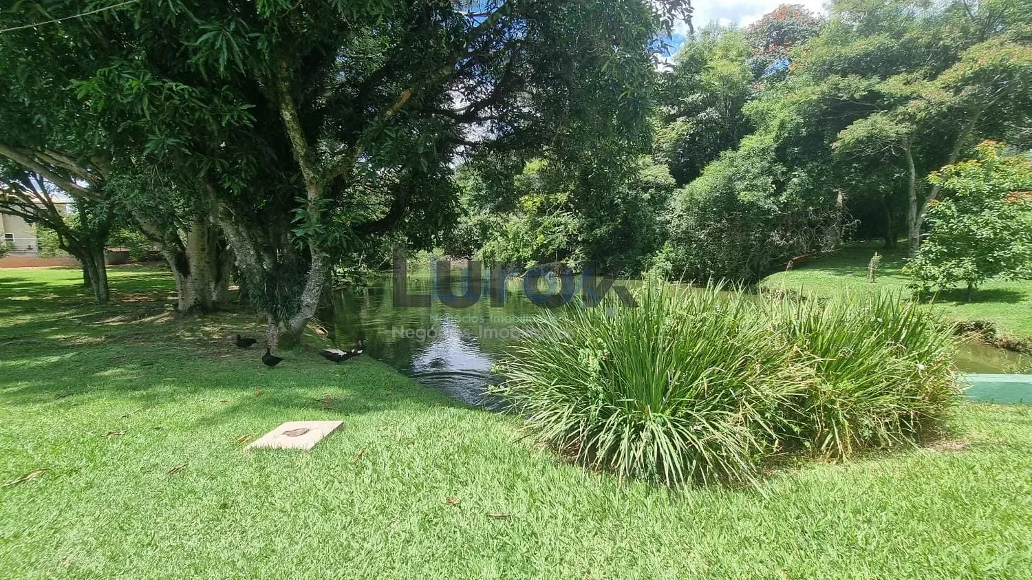 Casa, 3 quartos, 285 m² - Foto 29