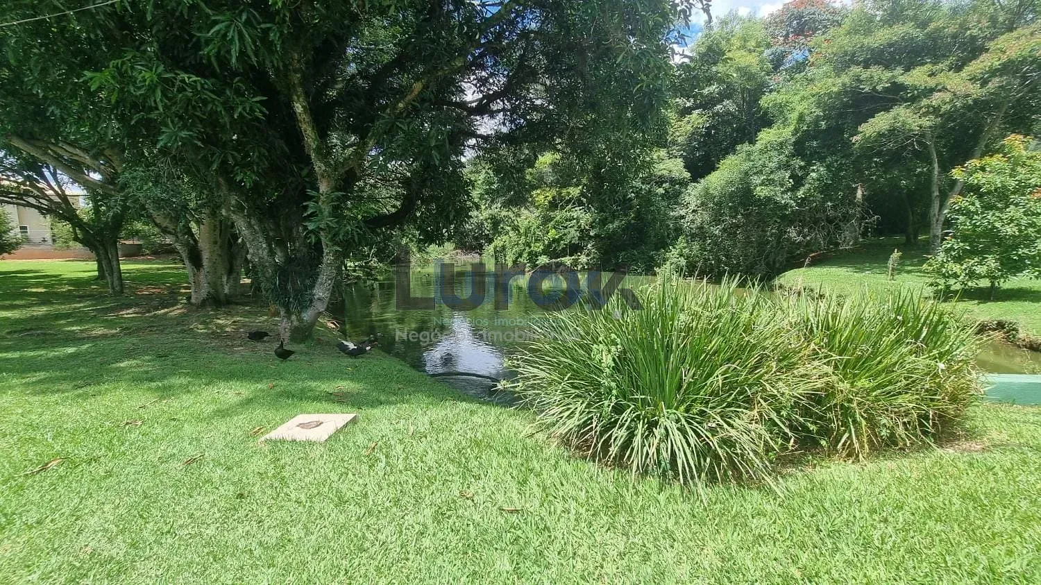 Casa, 3 quartos, 285 m² - Foto 27