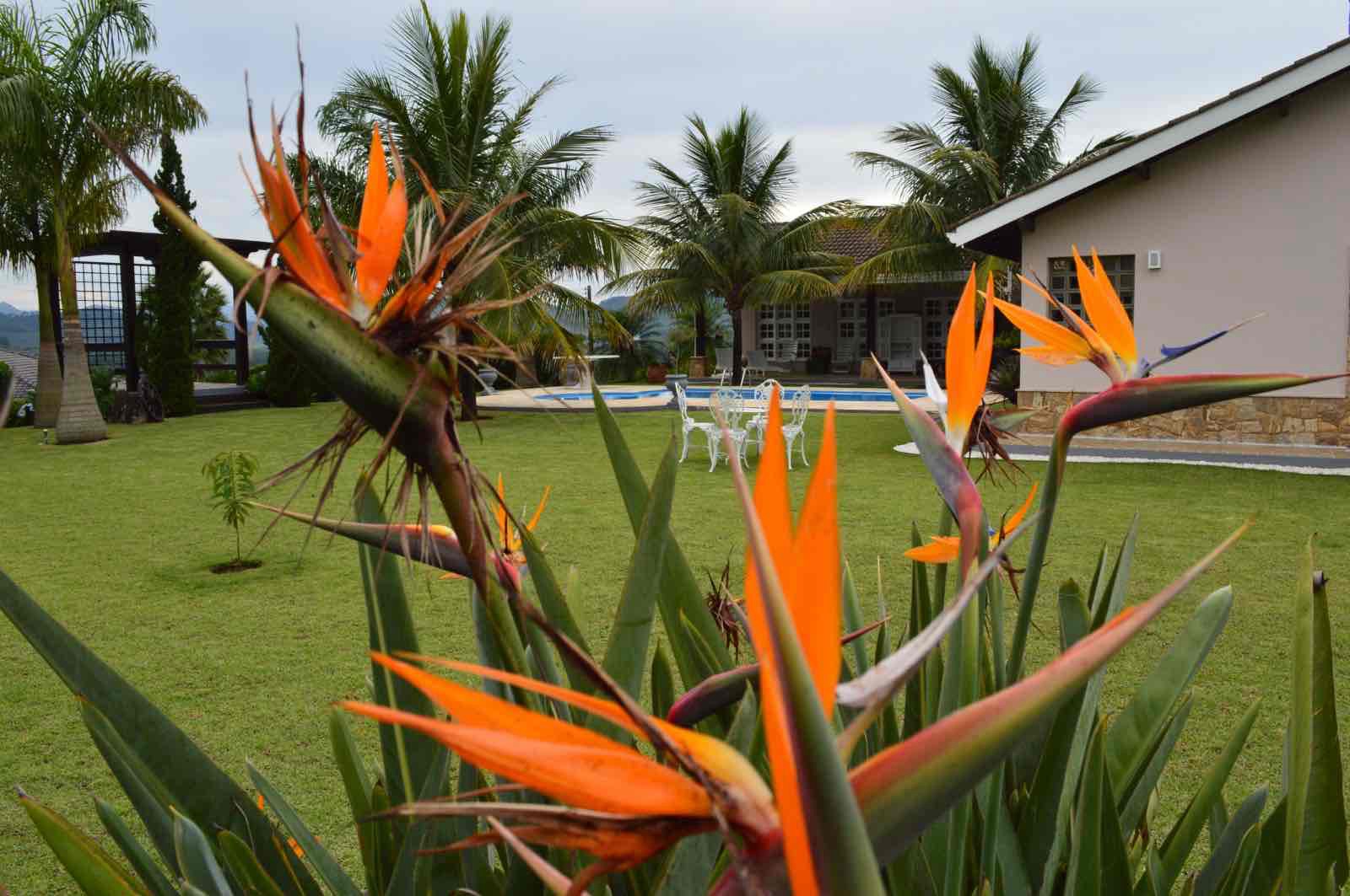 Casa, 4 quartos, 420 m² - Foto 52