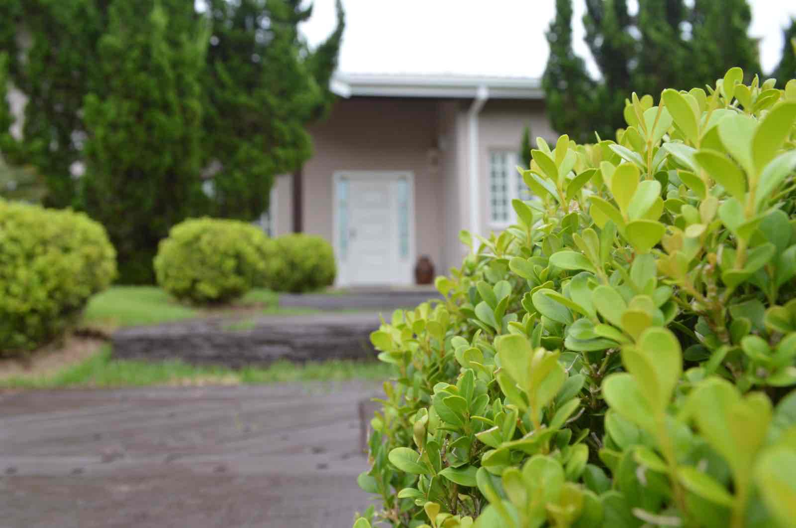 Casa, 4 quartos, 420 m² - Foto 51