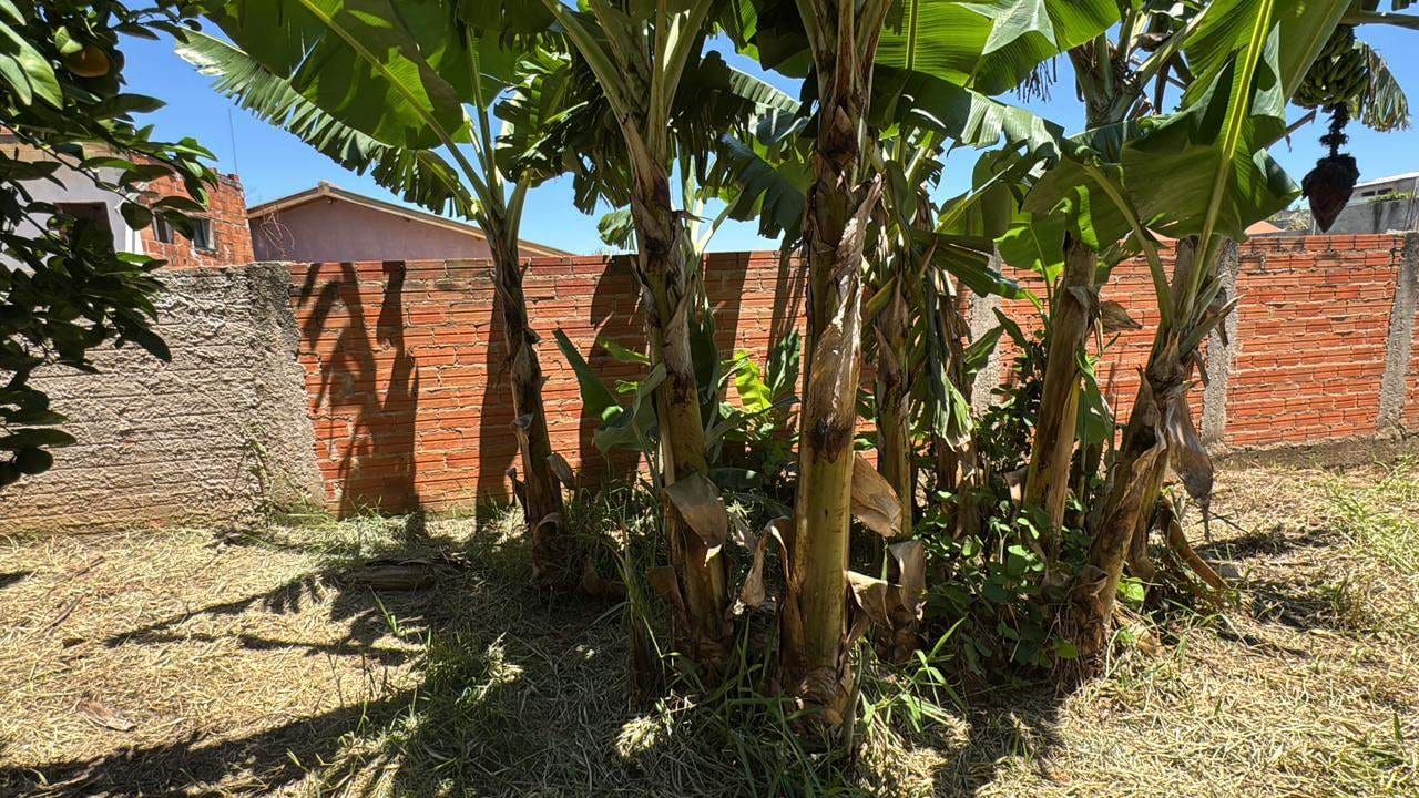 Casa, 3 quartos, 250 m² - Foto 32