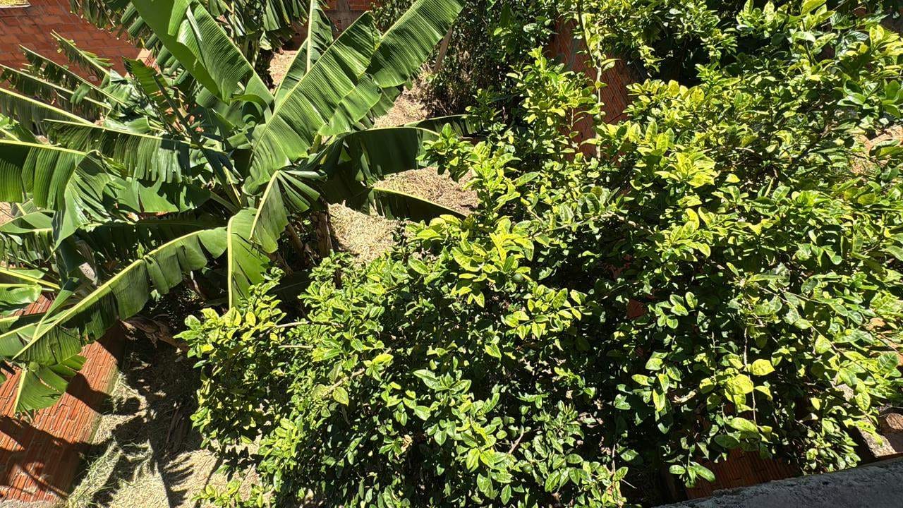 Casa, 3 quartos, 250 m² - Foto 27